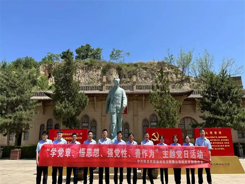 榆神電力公司開展“學(xué)黨章、悟思想、強黨性、善作為”主題黨日活動.jpg