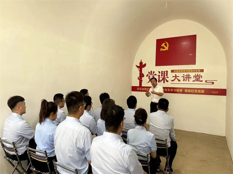 榆神電力公司開展“學(xué)黨章、悟思想、強黨性、善作為”主題黨日活動（3）.jpg